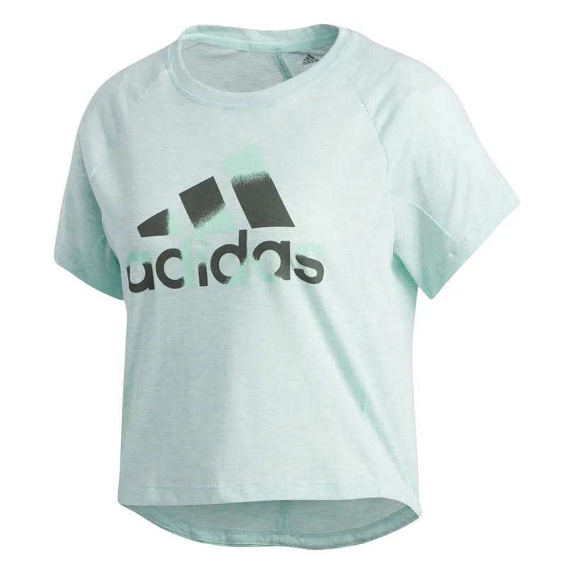 Adidas Boxy Badge Of Sport Tee