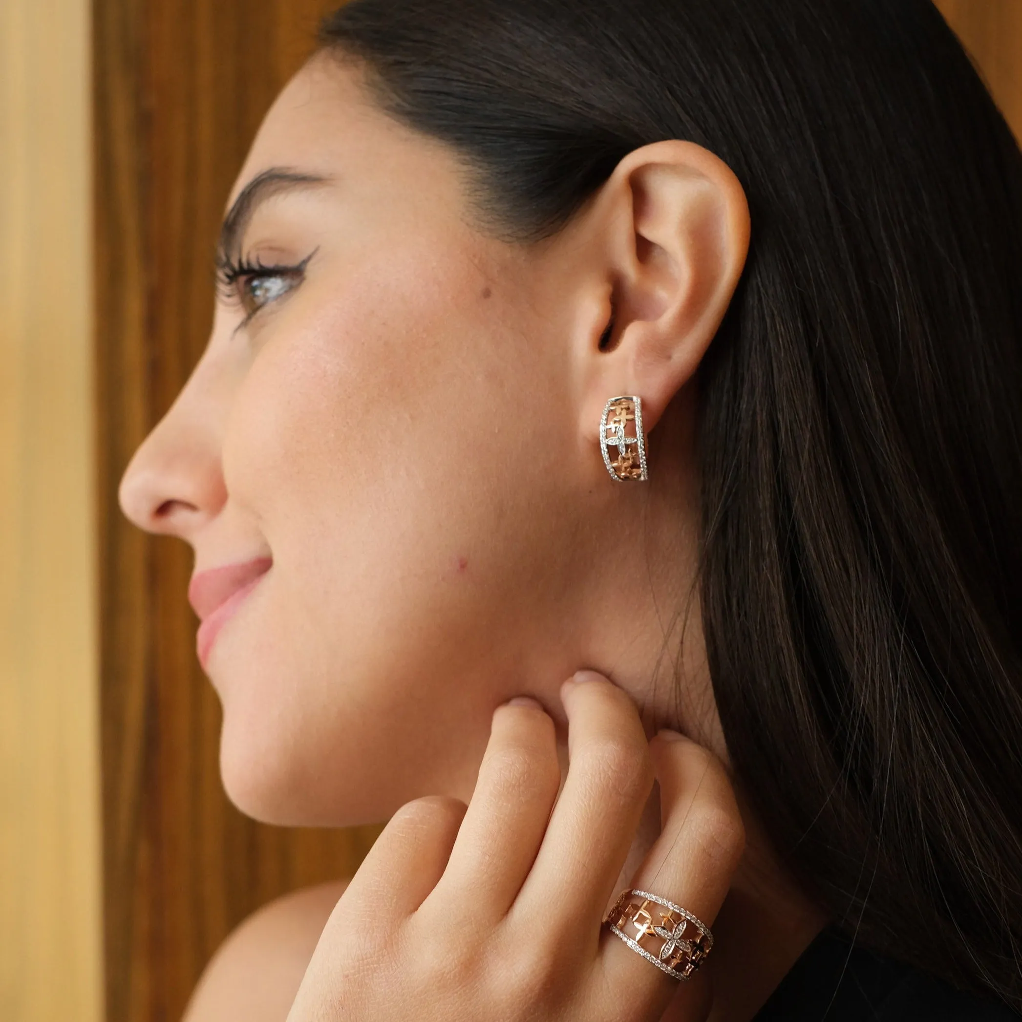 ARETES  