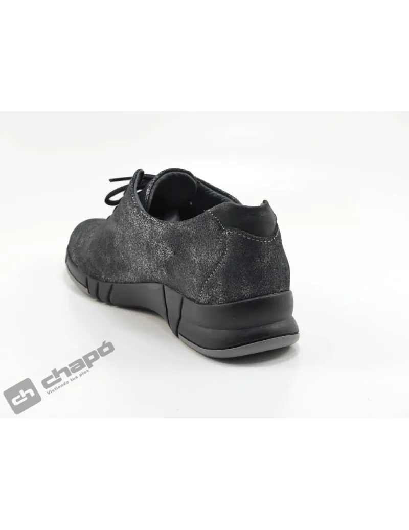 Blucher Negro Suave 3204jc