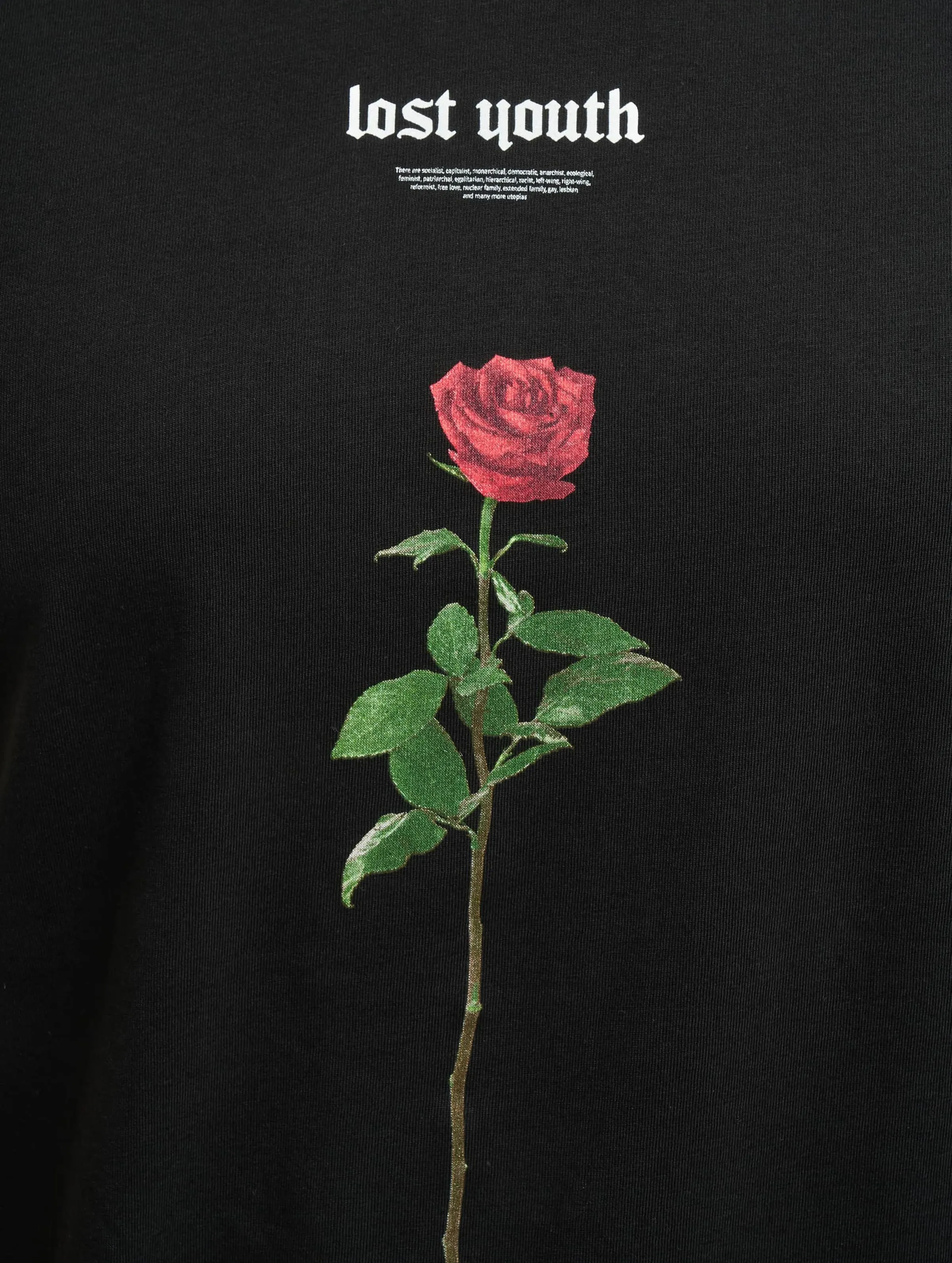 Mister Tee Lost Youth Rose
