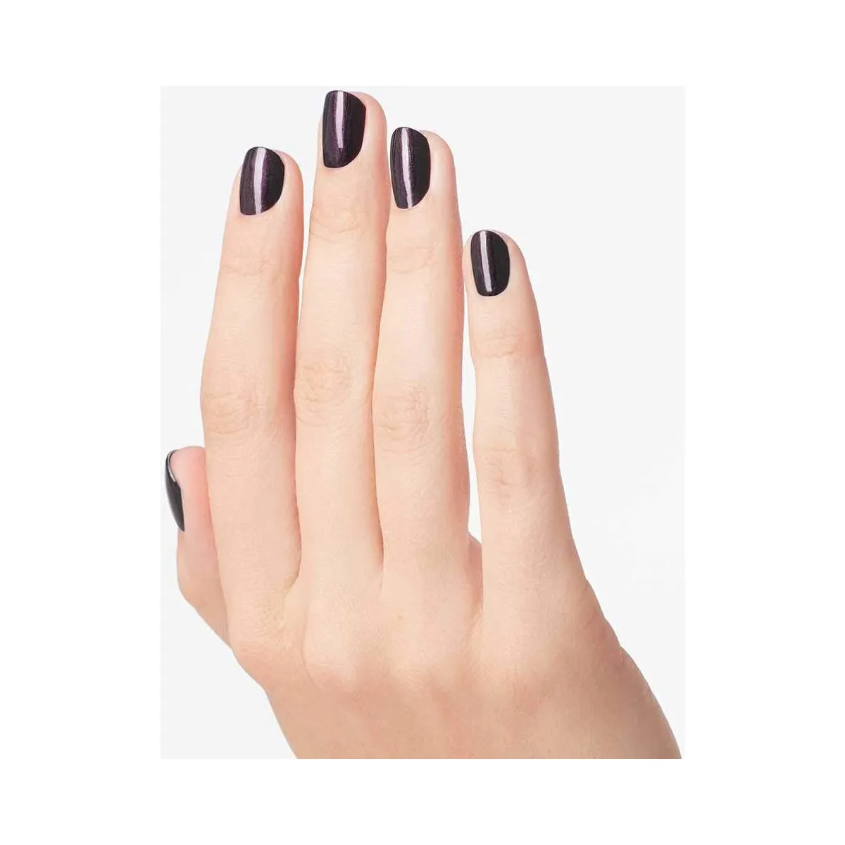 NAIL POLISHES NAIL LACQUER  VAMPSTERDAM  VAMPSTERDAM