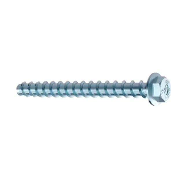 Tornillo raumer Tornillo MMS Plus 10x60mm